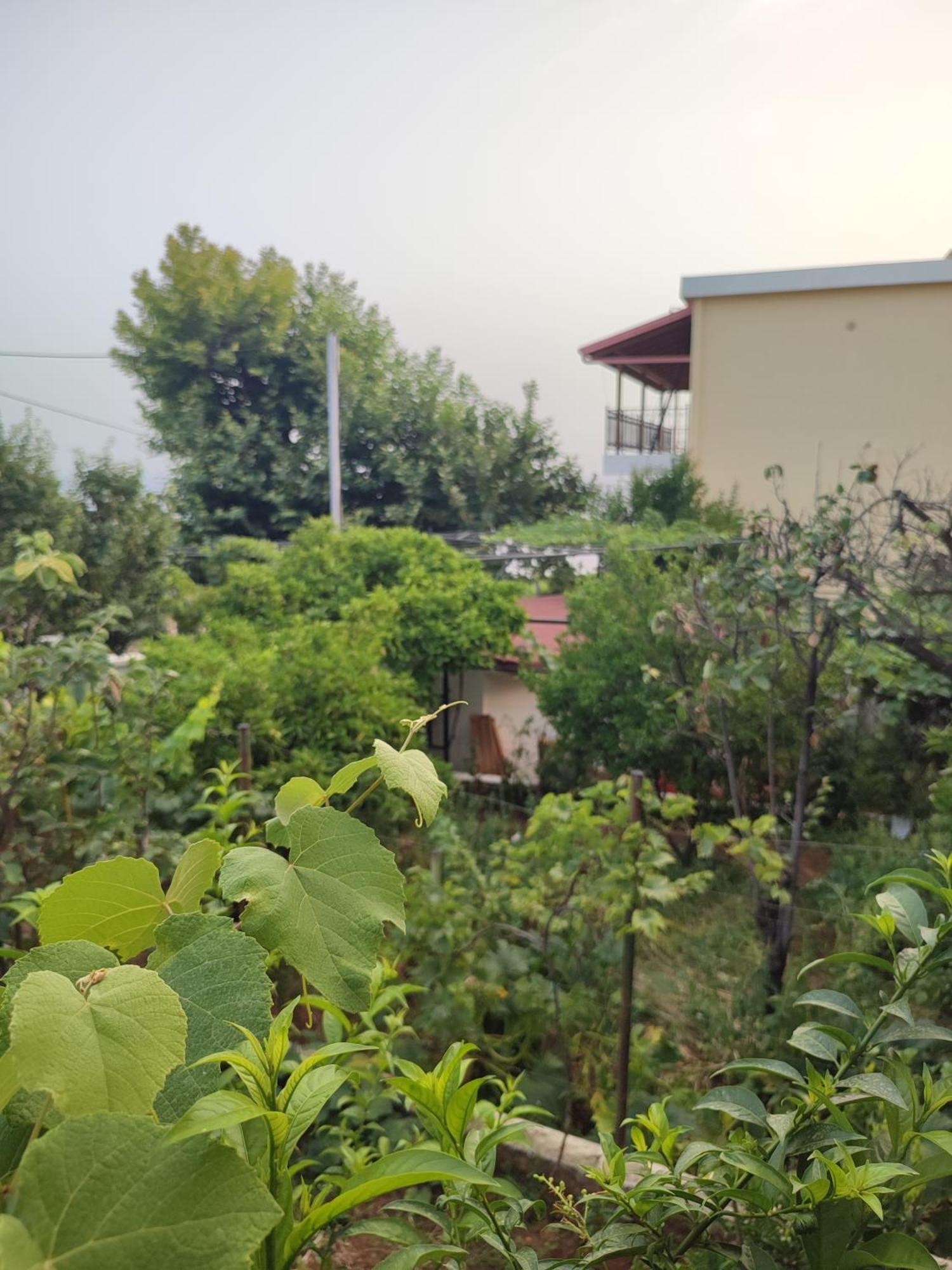 Villa Janilla Dhërmi エクステリア 写真